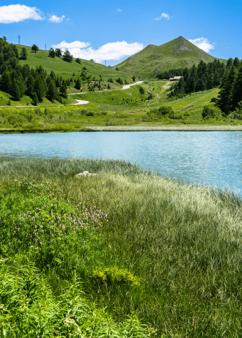 Locations vacances à Vars