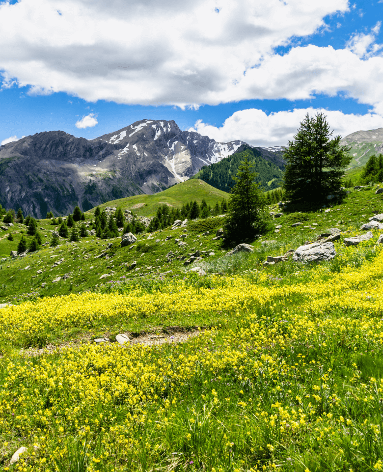 Locations vacances à Vars